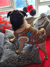 Load image into Gallery viewer, Fashion Star Dog Top