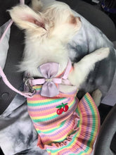 Load image into Gallery viewer, Bow dog harness BLUE