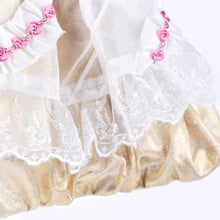 Load image into Gallery viewer, Rosendale dog dress