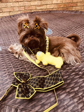 Load image into Gallery viewer, NEW Monise dog harness set