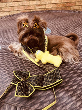 Load image into Gallery viewer, Monise dog harness set