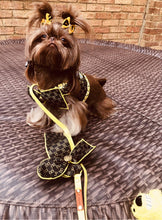 Load image into Gallery viewer, NEW Monise dog harness set