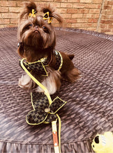 Load image into Gallery viewer, Monise dog harness set
