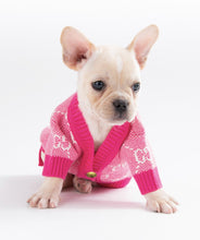 Load image into Gallery viewer, NEW GG dog jumper