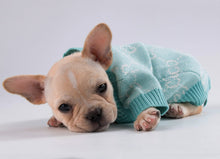 Load image into Gallery viewer, NEW GG dog jumper