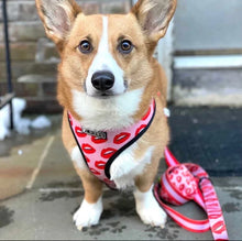 Load image into Gallery viewer, NEW Kisses dog harness set