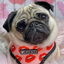 Load image into Gallery viewer, NEW Kisses dog harness set