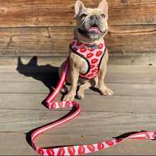Load image into Gallery viewer, NEW Kisses dog harness set