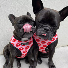 Load image into Gallery viewer, Kisses dog harness set