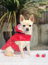 Load image into Gallery viewer, Melane dog rain Mac