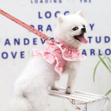 Load image into Gallery viewer, Flower dog harness