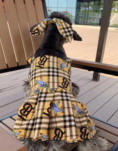 Load image into Gallery viewer, NEW BB dog dress