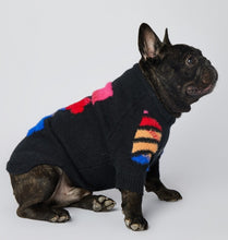 Load image into Gallery viewer, Woof Bone dog jumper