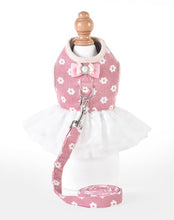 Load image into Gallery viewer, NEW Diva dog harness set