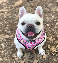 Load image into Gallery viewer, NEW Unicorn dog harness set pink