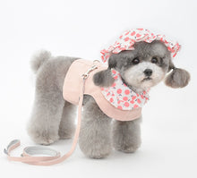Load image into Gallery viewer, Fruit dog harness set
