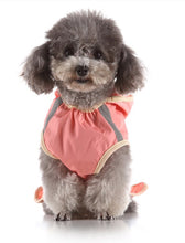 Load image into Gallery viewer, NEW Rainy Days dog Rain cape