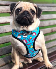 Load image into Gallery viewer, NEW Unicorn dog harness set