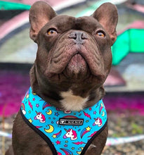 Load image into Gallery viewer, NEW Unicorn dog harness set