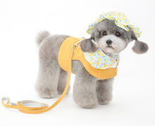 Load image into Gallery viewer, Fruit dog harness set