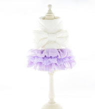 Load image into Gallery viewer, NEW Lady dog coat