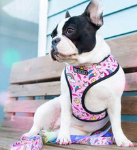 Load image into Gallery viewer, NEW Unicorn dog harness set pink