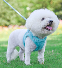 Load image into Gallery viewer, NEW Winter dog harness