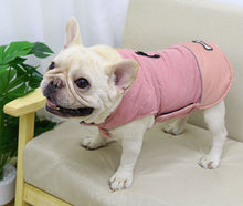 Load image into Gallery viewer, Bone dog jacket