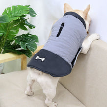 Load image into Gallery viewer, Bone dog jacket