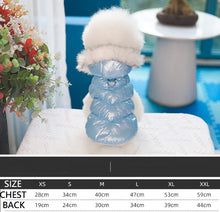 Load image into Gallery viewer, NEW Skyline dog jacket