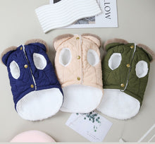 Load image into Gallery viewer, NEW Metro dog jacket