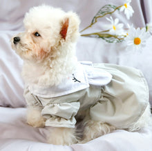 Load image into Gallery viewer, NEW Love Bunny dog dress