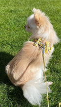 Load image into Gallery viewer, NEW Flower harness set