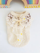 Load image into Gallery viewer, NEW Daisy dog jumper