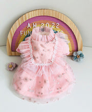 Load image into Gallery viewer, Aurora dog dress