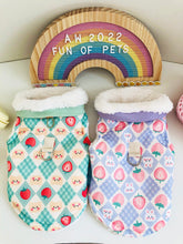 Load image into Gallery viewer, NEW Teddy n Bunny dog jacket
