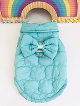 Load image into Gallery viewer, Bow D ring dog jacket
