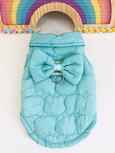 Load image into Gallery viewer, Bow D ring dog jacket
