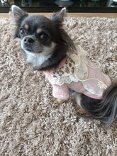 Load image into Gallery viewer, Daisy Bow Knit Dog Jumper