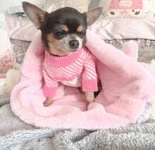 Load image into Gallery viewer, NEW CC Dog jumper