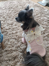Load image into Gallery viewer, NEW Daisy dog jumper