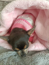 Load image into Gallery viewer, NEW CC Dog jumper