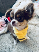 Load image into Gallery viewer, NEW Fleece dog scarf