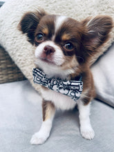 Load image into Gallery viewer, Parody Dog Tie Collar