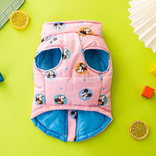 Load image into Gallery viewer, NEW Magic dog jacket