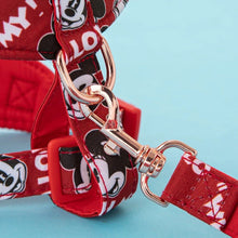 Load image into Gallery viewer, NEW Mickeyyy soft harness