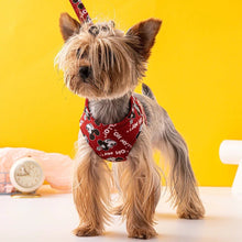 Load image into Gallery viewer, NEW Mickeyyy soft harness