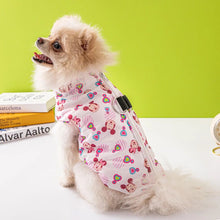 Load image into Gallery viewer, NEW Magic dog jacket