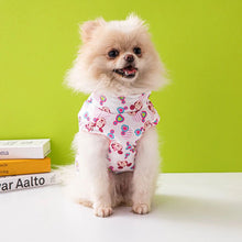 Load image into Gallery viewer, NEW Magic dog jacket