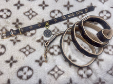 Load image into Gallery viewer, NEW Designer inspired Orig. collar and lead set